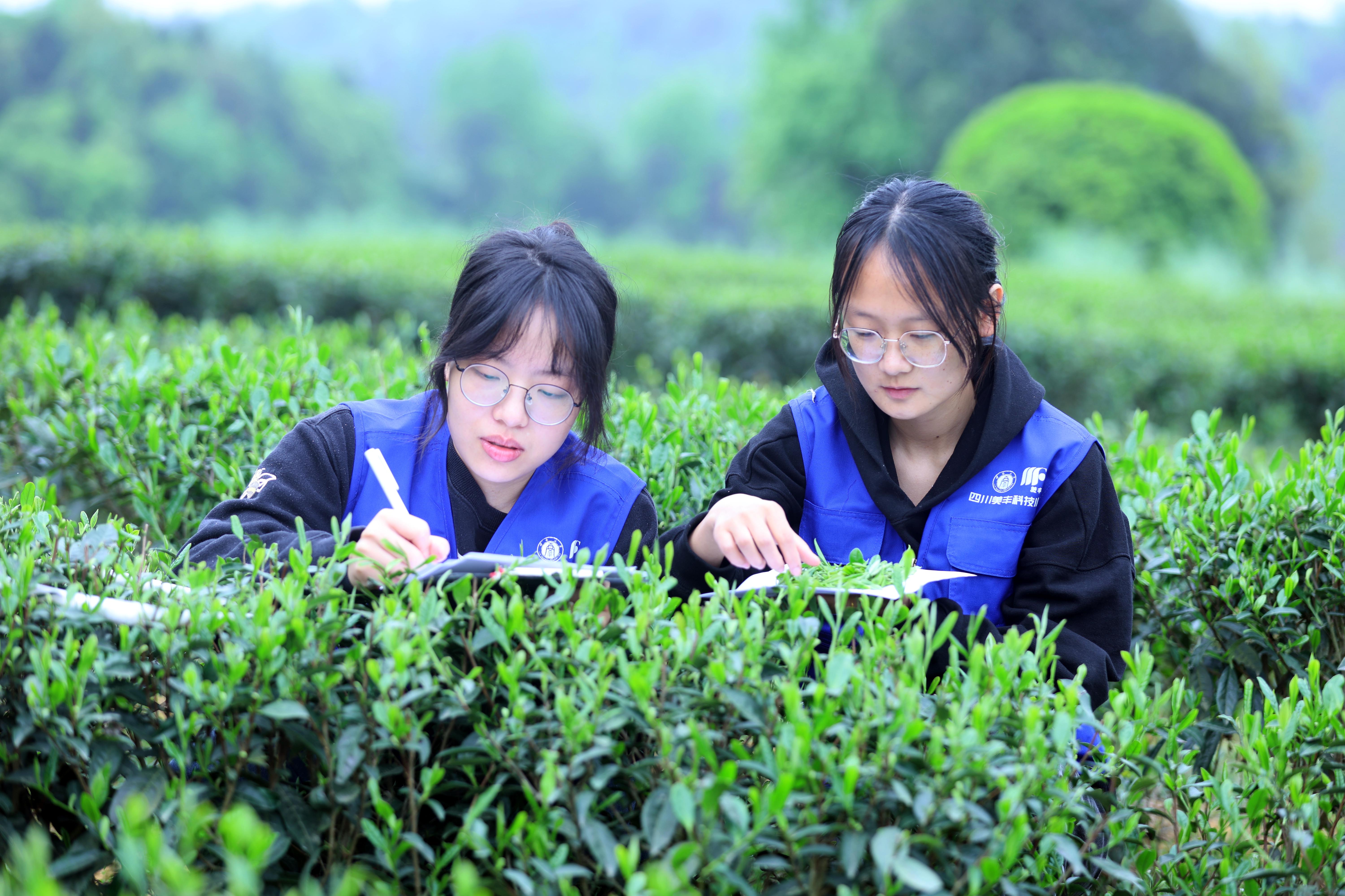 四川美丰共建的两所科技小院获评优秀