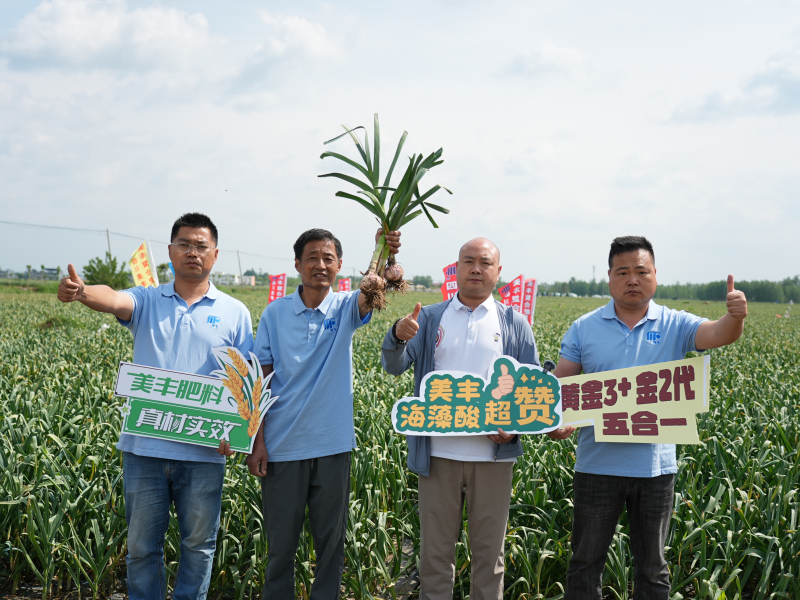 夏攻行动：四川美丰护航夏粮丰产丰收