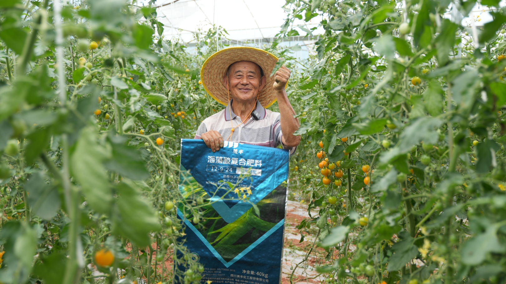 夏攻行动：“三夏”时节精准发力助丰收