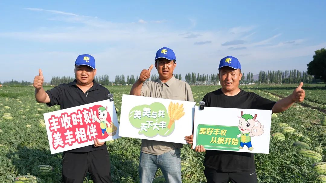 美丰肥助力硒砂瓜亩产过万斤